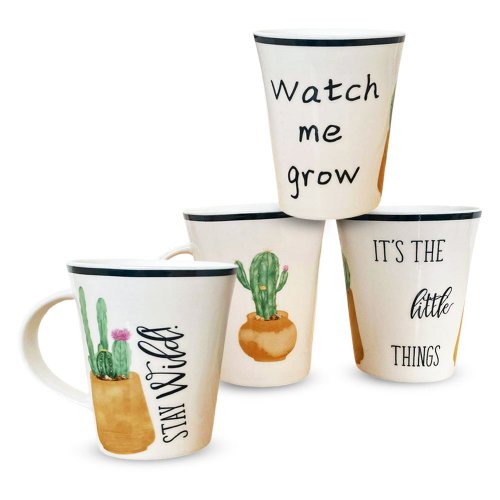 Set x12 jarros mug c?n cactus surtidos