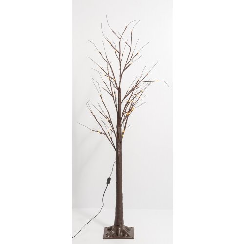 Árbol de tronco marrón con luz cálida - Ver tamaños disponibles
