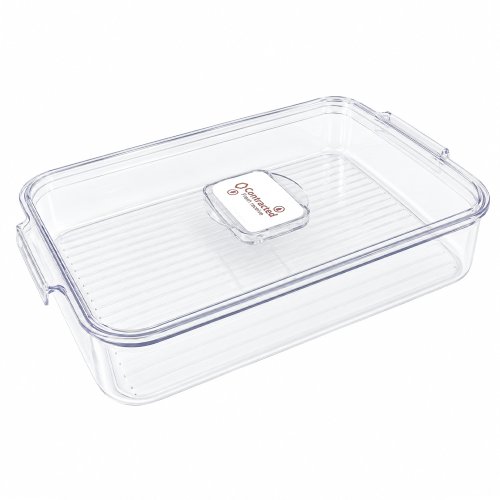 Caja plastica con tapa 33x21x5.5cm