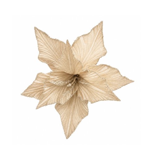 Set x12 picks de estrella federal terciopelo champagne 23cm